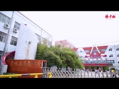 सब्जियों के साथ नूडल्स के पहाड़ और marinated अंडे सुपर स्वादिष्ट और नशे की लत कर रहे हैं!