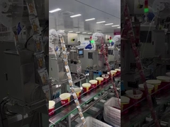 यांग झांग गुई तत्काल नूडल्स सामग्री फ़ीडिंग कन्वेयर लाइन